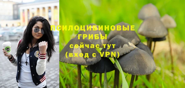 PSILOCYBIN Баксан