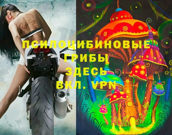 PSILOCYBIN Баксан