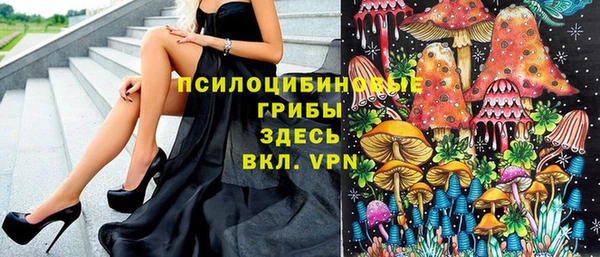 PSILOCYBIN Баксан