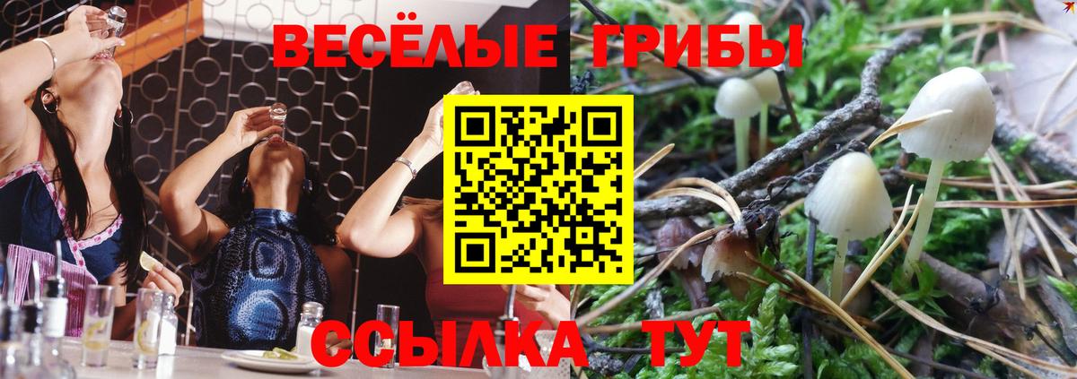 Псилоцибиновые грибы мухоморы  Вход с VPN  Белогорск  Галлюциногенные грибы Cubensis 